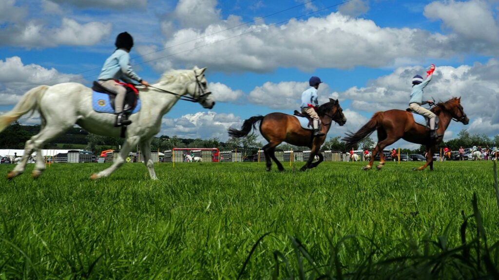 Horse race